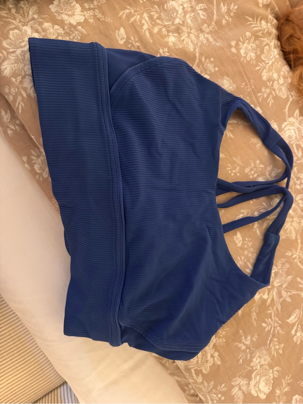 lululemon athletica Blue Ribbed Sports Bra
